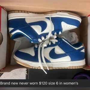 Blue Nike dunks brand new